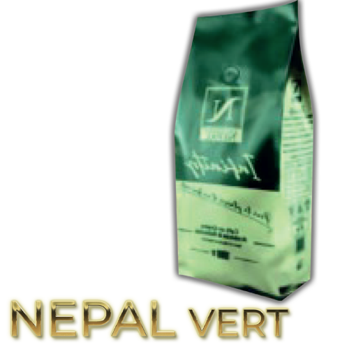 nepal vert-1